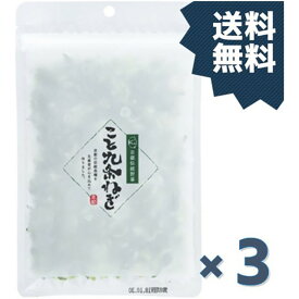 1000円ポッキリ 送料無料 こと京都 乾燥九条ねぎ 10g 3個セット