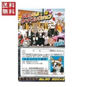 Ȃ߂ȂJ[hRNV2 1  TςN[|zz!!GXJC