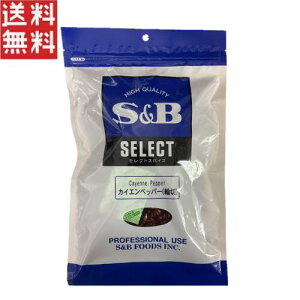 GXr[Hi JCGybp[i֐؁j 100g Ɩp