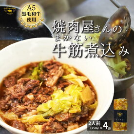 牛すじ煮込み 250g 4パック お取り寄せ 国産 牛すじの煮込み ぎゅうすじ煮込み 牛すじ煮 冷凍 牛すじ 土手煮 どて煮 牛すじどて煮 牛筋煮込み 冷凍おかず レンジ 一人暮らし 仕送りセット 食品 美味しいおかず ご飯に合う 冷凍お惣菜 おいしい 温めるだけ レトルト