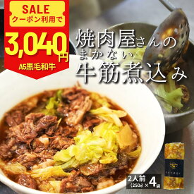 牛すじ煮込み 250g 4パック お取り寄せ 国産 牛すじの煮込み ぎゅうすじ煮込み 牛すじ煮 冷凍 牛すじ 土手煮 どて煮 牛すじどて煮 牛筋煮込み 冷凍おかず レンジ 一人暮らし 仕送りセット 食品 美味しいおかず ご飯に合う 冷凍お惣菜 おいしい 温めるだけ レトルト