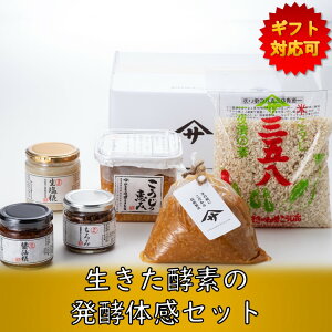 y{I11OFFN[|SiP{zyf̔yHiZbg ioX1kg ō哤gp݂750g  ݖ  Ђ̑fOܔj Y T߃Mtg v