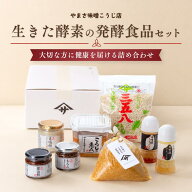 【本日までP4倍以上！さらに20％OFFクーポン】生きた酵素の発酵セット（蔵出し生味噌1kg 最高級大豆使用…
