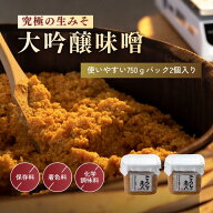 【本日までP4倍以上！さらに20％OFFクーポン】最高等級大豆使用 生みそ 750g2個 蔵出直送 注文を受けてか…