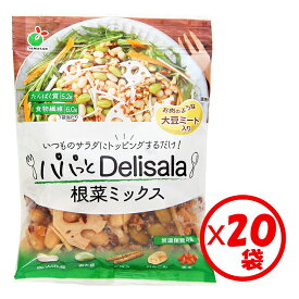 【送料無料】お得な箱買い！「パパっとDelisala 根菜ミックス60g」×20袋【白いんげん豆、青大豆、ごぼう、れんこん、赤米、大豆ミートをミックス。多品目、彩り豊か、ヘルスパフォーマンスの高い、デリカ風サラダが手軽にできる】