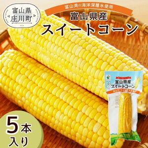 yzuxRY XC[gR[ 1{v×5܁y䥂łăR[1{ۂƐ^pbNI퉷ۊOK@gg Ƃ낱 S[hbV@삨񂹂؁@5{@L