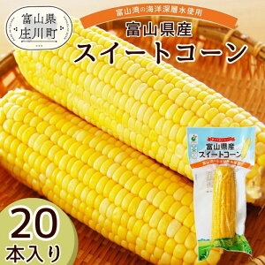 yzȔuxRY XC[gR[ 1{v×20܁y䥂łăR[1{ۂƐ^pbNI퉷ۊOK@gg Ƃ낱 Ɩp ʎgpɕ֗20{@Lv 