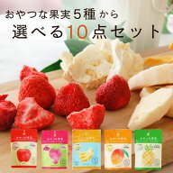 ＼TVで紹介されました！／選べる！お得な10袋セット「おやつな果実シリーズ5種（りんご、いちご、バナナ…