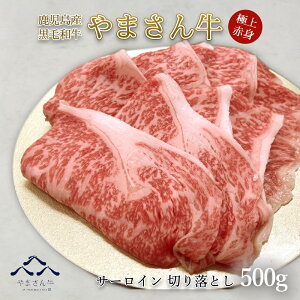 јa ܂ T[C؂藎ƂXCX 500g  T[C  ؂藎Ƃ Ă Ԃ Ă  j a v[g 
