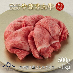 јa ܂ Ef؂藎ƂXCX 500g 1000g   p    