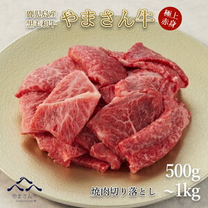 yʌII؂藎Ƃzјa ܂ ē؂藎Ƃ 500g 1000g   p     Jr NV^