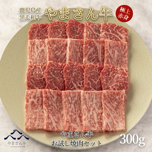 јa ܂ ܂񋍂ēZbg300g [X150g Ԑg150g  Ԑg 荇킹  ēp  j a v[g 