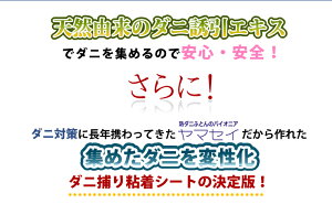 ≪2ショップでポイント5倍対象ショップ★6月6日9:59まで≫ダニゼロックどこでも使えるダニ粘着シート透明ケース付き13*11*0.7cm【1枚入り】防ダニダニ対策ダニ捕りダニ取りシートダニシート