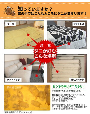 ≪2ショップでポイント5倍対象ショップ★6月6日9:59まで≫ダニゼロックどこでも使えるダニ粘着シート透明ケース付き13*11*0.7cm【1枚入り】防ダニダニ対策ダニ捕りダニ取りシートダニシート