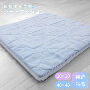 ��PCM�V�[�g�N�b�V����(�Ŗȃ^�C�v) 40×40cm�E30×30cm
