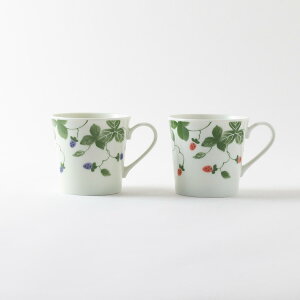  킢 y y }O }OJbv C`S R[q[Jbv eB[Jbv Rbv JtF g  JtF