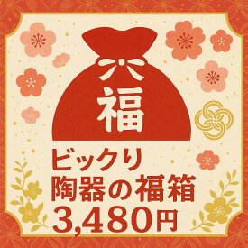 ビックり 福箱 2025年 かわいい おしゃれ 和食器 洋食器 セット カフェ風 プレート ボウル 茶碗 マグカップ 盛り皿 サラダ皿 スープカップ おうちごはん 北欧風 ナチュラル キッチン 贈り物 ギフト 福袋 お皿 セット お得 詰め合わせ 人気 和モダン デザイン 日常使い
