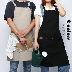 Gv jp  AJ n [NGv Vv |Pbgt \ h ۈm | d Ǝ JtF 킢  2F