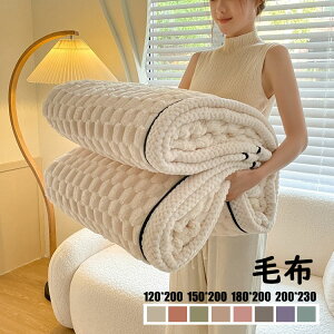 ブランケット おしゃれ 純色 毛布 大判 掛け毛布 掛け布団 寝具 ひざ掛け タオルケット ソファカバー ベッドカバー 吸湿発熱 マイクロファイバー ふわふわ もこもこ 暖かい 冷房対策 極上の