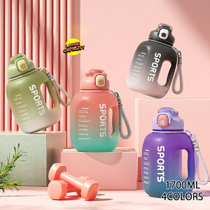 EH[^[{g  1.7L e X|[c{g ^ Xg[t ڐ  Hix ϗϔM NA {g oR AEghA s ނ Lv jO oCLO