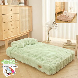 L ybgxbh ybg}bg }bg ѕzt  ~p}bg 􂦂 ې 傫  L~p}bg ˂pi Lpi ӂӂ  ybgNbV  L ybg }bg 