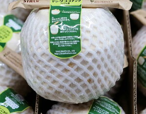 ORRibc@RRicʕ@hN@t[c