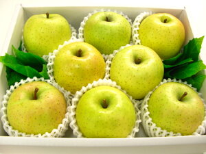 т8yyMt_IzyyMt_̂zyyMt_bŹzkCAꌧ͑1000~ǉĂ܂B