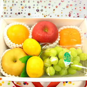 ʕ@@@a@y@@v[g@t[cZbg fruitʕ@́yy_yjcƁzyy_jcƁzikCAꌧ͑