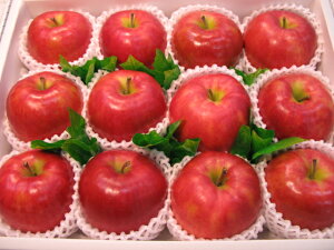 WiS[h12著iꌧ͑1000~ǉĂ܂Bjy@炭@炭