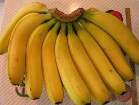 バナナ15本ばなな　banana 【楽ギフ_包装選択】【楽ギフ_のし宛書】【楽ギフ_メッセ入力】あす楽