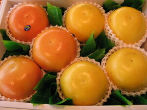 O[vt[cr[3zCg4著ikCAꌧ͑1000~ǉĂ܂BjyyMt_IzyyMt_̂zyyMt_bŹz