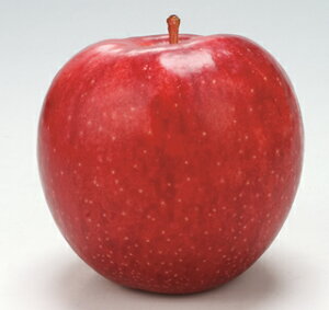 ジョナゴールドりんご中玉1個明日楽 明日らく あすらく