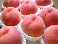 桃ももピーチpeach小玉サイズ1個あす楽　明日楽　あすらく