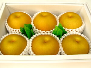 L6pear iꌧ͑1000~ǉĂ܂Bj