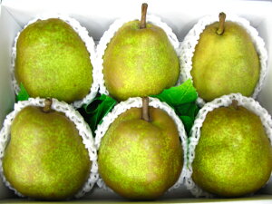 EtX6yyMt_IzyyMt_̂zyyMt_bŹz