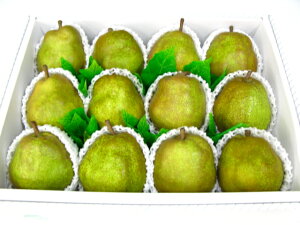 EtX12yyMt_IzyyMt_̂zyyMt_bŹz