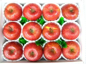 Tӂ񂲃TtWSTtWь12著i1000~ZĂ܂BjyyyyMt_IzyyMt_̂zyyMt_bŹz