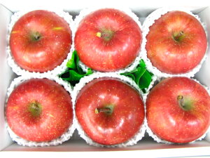 Tӂ񂲃TtWSTtWь6著ikCAꌧ͑1000~ǉĂ܂BjyyyyMt_IzyyMt_̂zyyMt_b