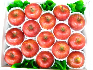 Tӂ15著yyyyMt_IzyyMt_̂zyyMt_bŹziꌧ͑1000~ǉĂ܂Bj