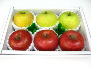 TӂуZbgikCAꏜjyyMt_IzyyMt_̂zyyMt_bŹz