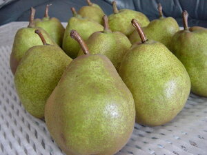 EtX1yyMt_IzyyMt_̂zyyMt_bŹz