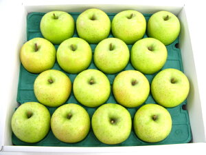 т16著ikCAꏜjyyMt_IzyyMt_̂zyyMt_bŹz