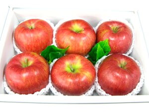 VimXC[g6著yikCAꌧ͑1000~ǉĂ܂Bj