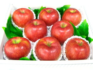 VimXC[g8著yikCAꌧ͑1000~ǉĂ܂Bj