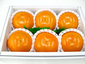 xL`6薾yyyyMt_IzyyMt_̂zikCAꌧ͑1000~ǉĂ܂Bj