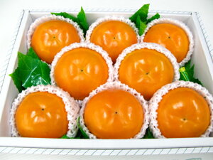 xL`8薾yyyyMt_IzyyMt_̂zyyMt_bŹzikCAꌧ͑1000~ǉĂ܂Bj