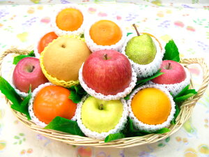 ʕ@t[c@@@y@v[gyzyz fruitَq@fruits kudamonoyyMt_bŹzyyzikCAꌧ͑1000~ǉĂ