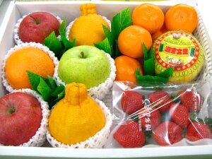 果物 お中元 フルーツ fruits お供え お誕生日 お見舞い あす楽プレゼント kudamono【お供え】【お見舞い】果物 くだもの 水果 fruit【あす楽_日曜営業】送料無料(北海道、沖縄県
