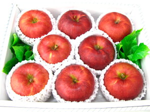 WiS[h8著ikCAꌧ͑1000~ǉĂ܂Bj