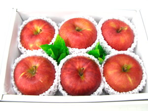 WiS[h6著ikCAꌧ͑1000~ǉĂ܂Bj